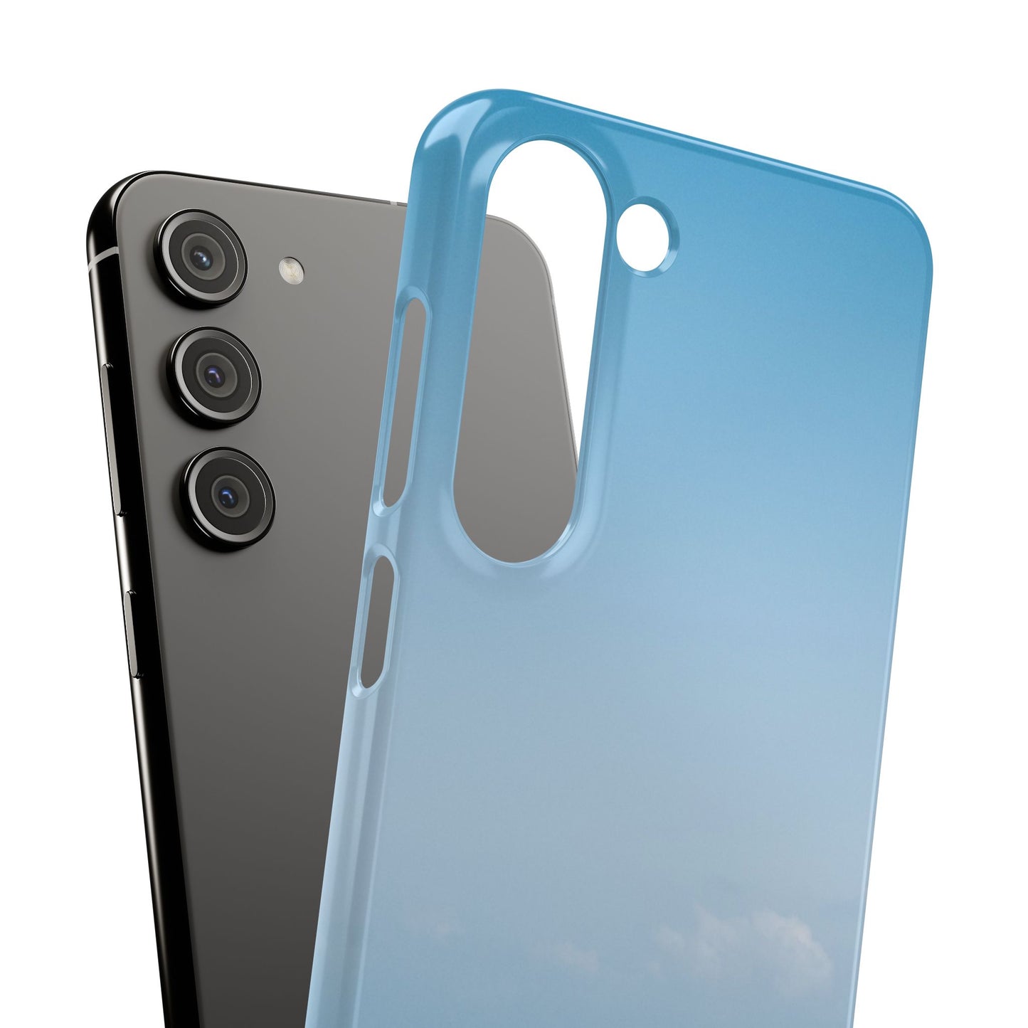 Trust in the Lord (Proverbs 3:5-6)