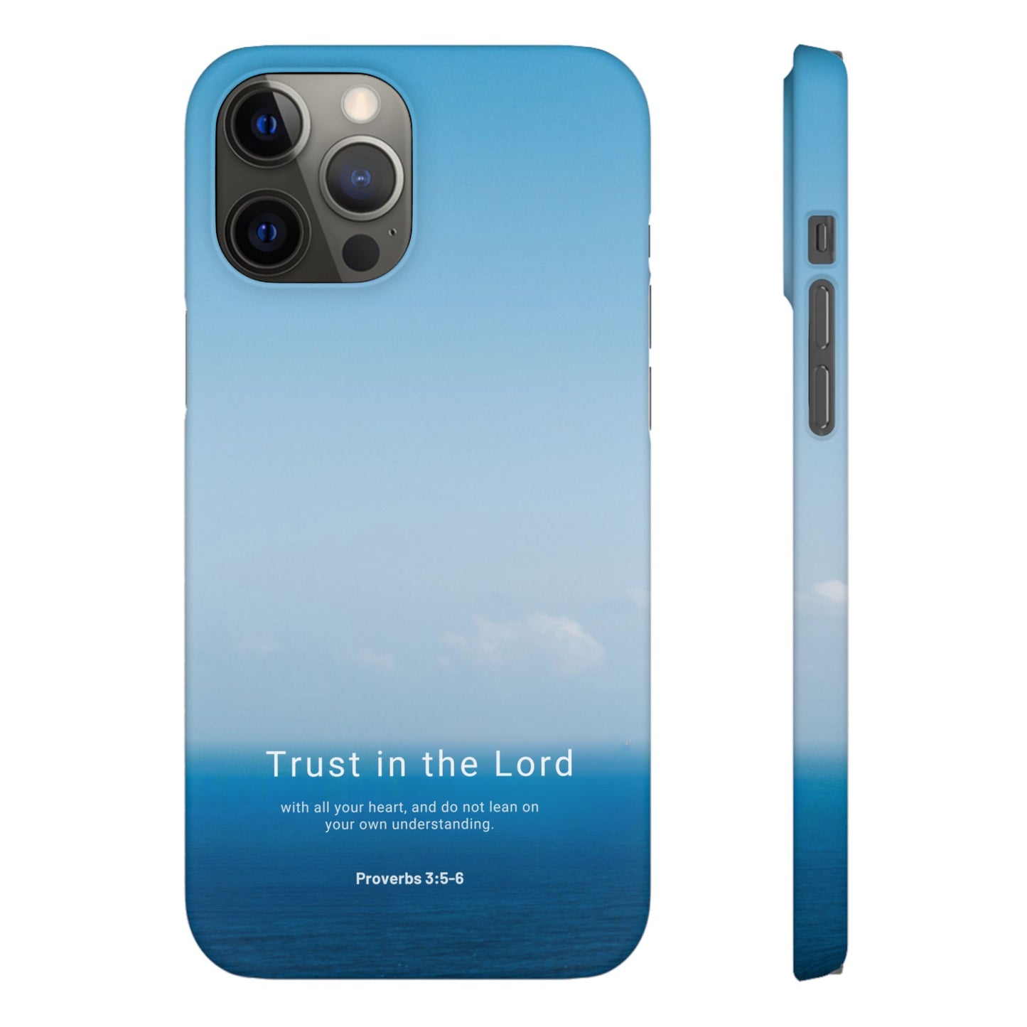 Trust in the Lord (Proverbs 3:5-6)