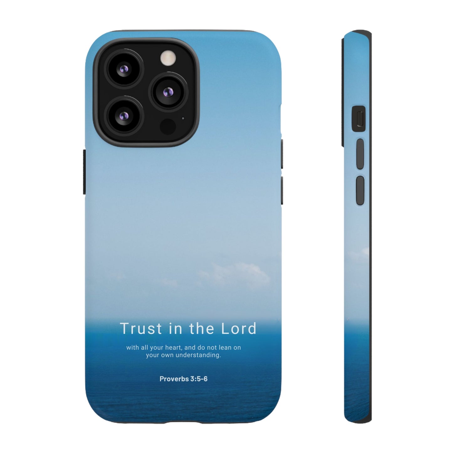 Trust in the Lord (Proverbs 3:5-6)