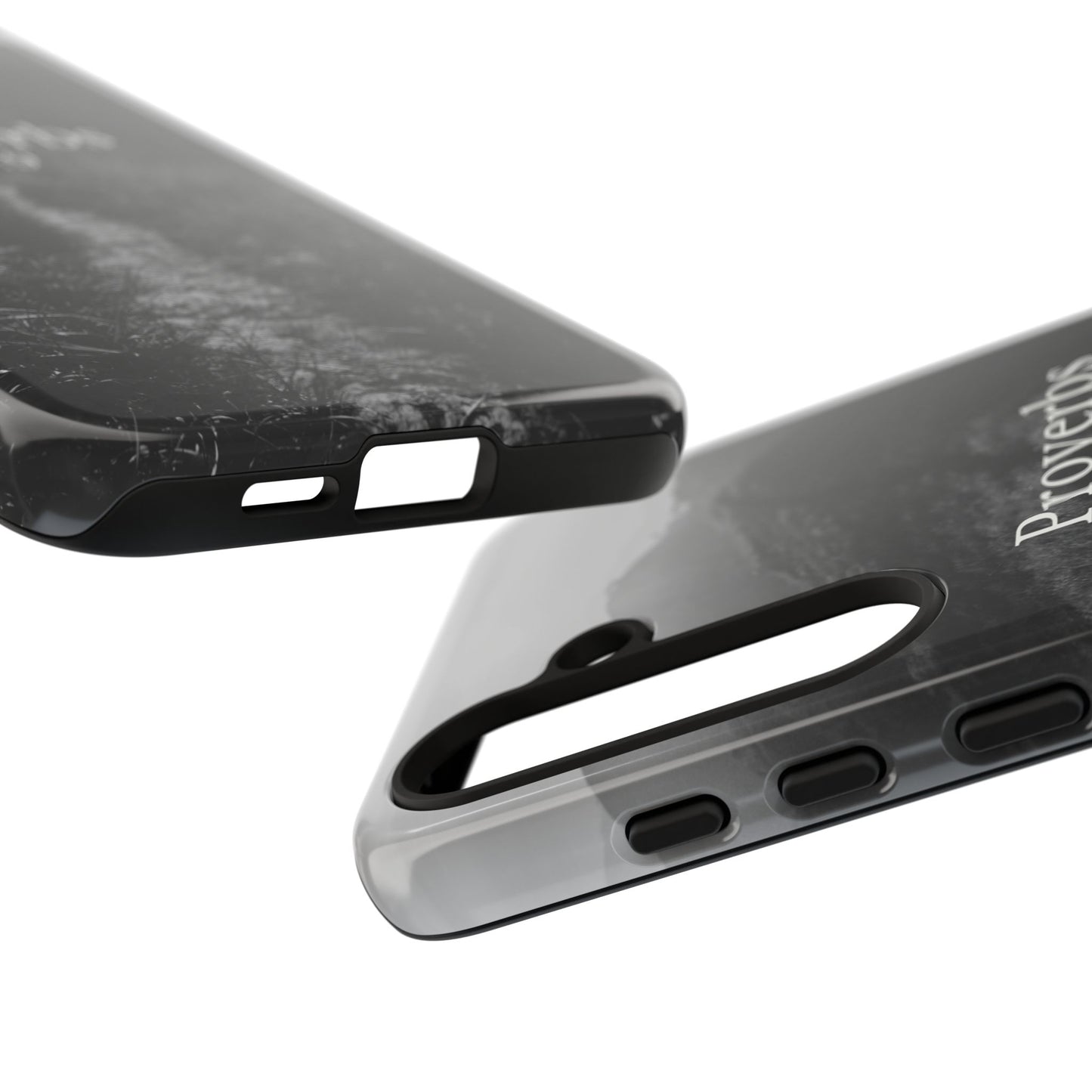 Proverbs 16:9 Tough Case