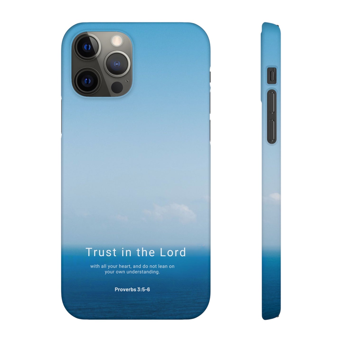 Trust in the Lord (Proverbs 3:5-6)