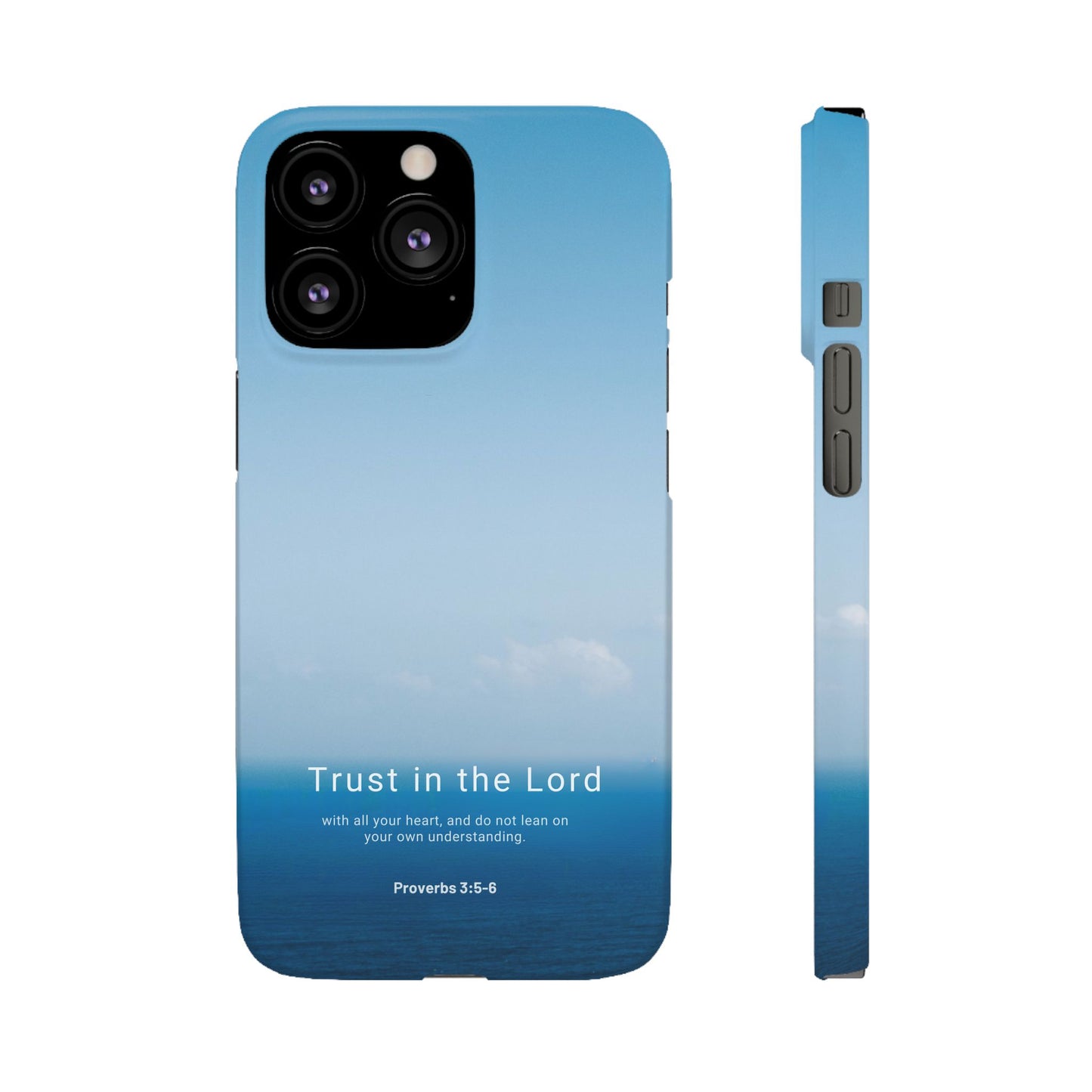 Trust in the Lord (Proverbs 3:5-6)