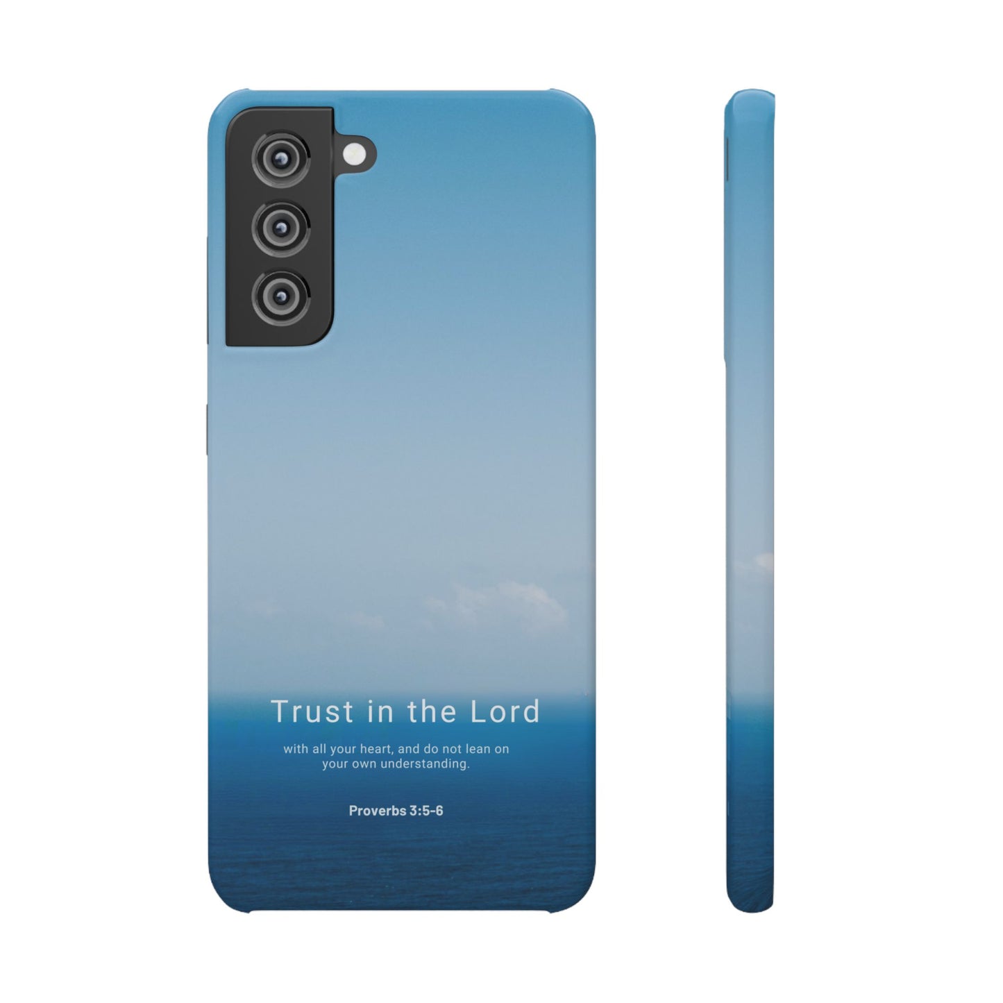 Trust in the Lord (Proverbs 3:5-6)