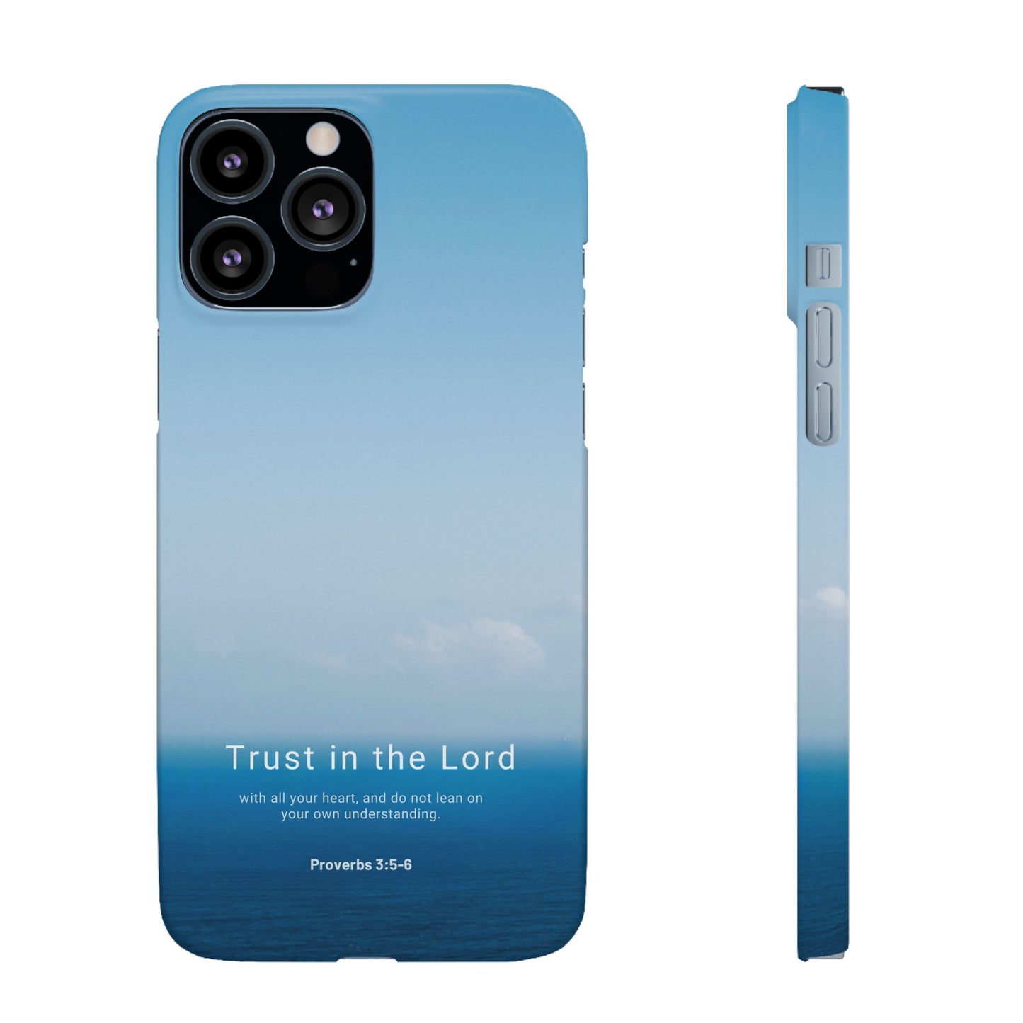 Trust in the Lord (Proverbs 3:5-6)