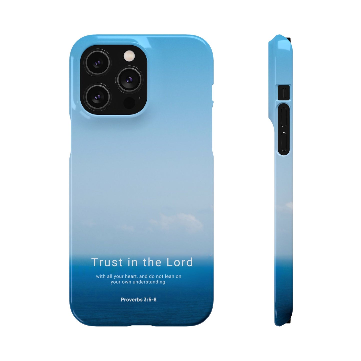 Trust in the Lord (Proverbs 3:5-6)