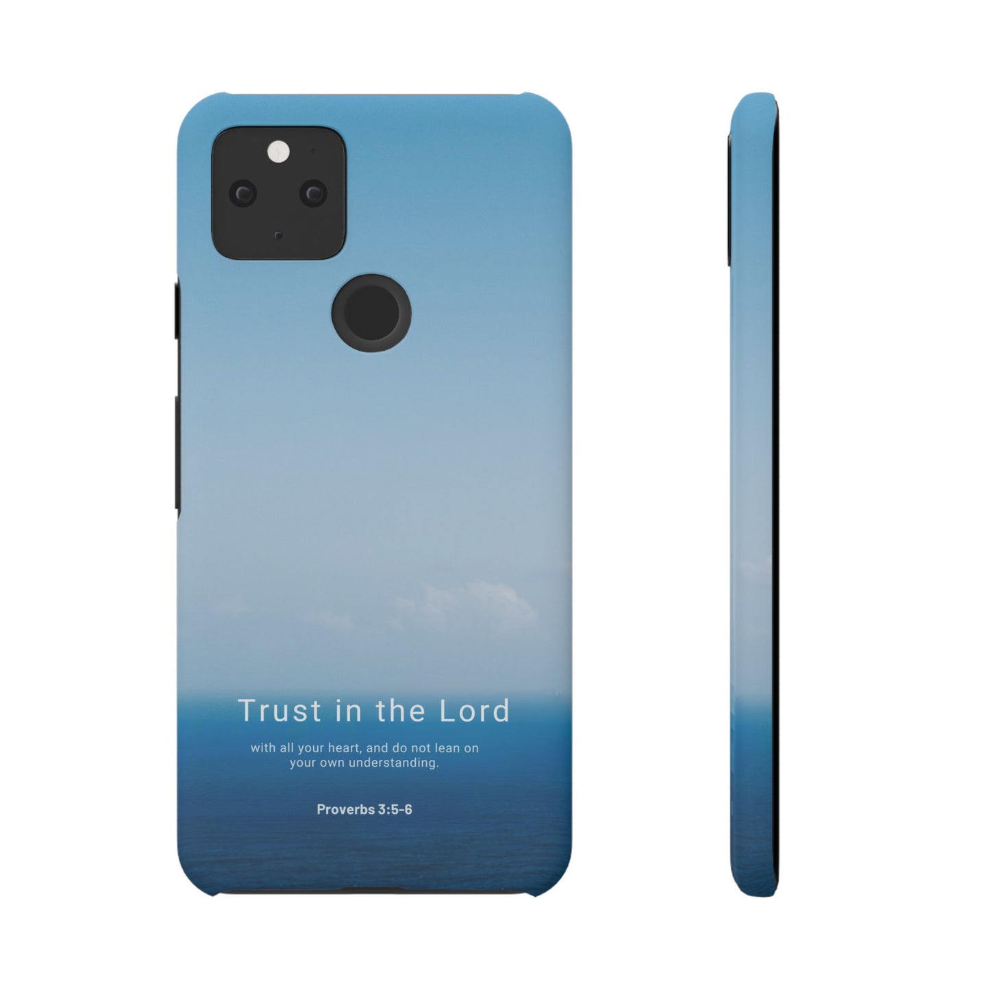 Trust in the Lord (Proverbs 3:5-6)