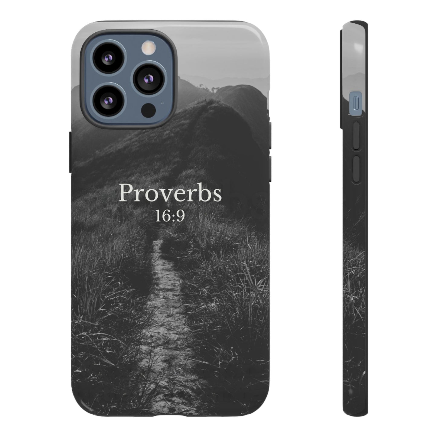 Proverbs 16:9 Tough Case