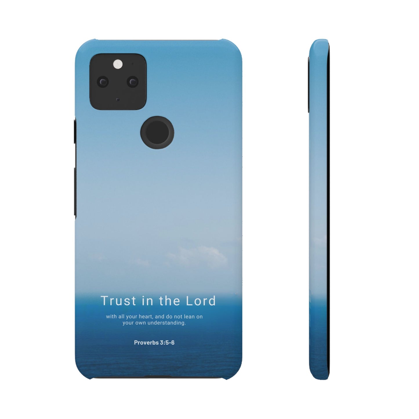 Trust in the Lord (Proverbs 3:5-6)