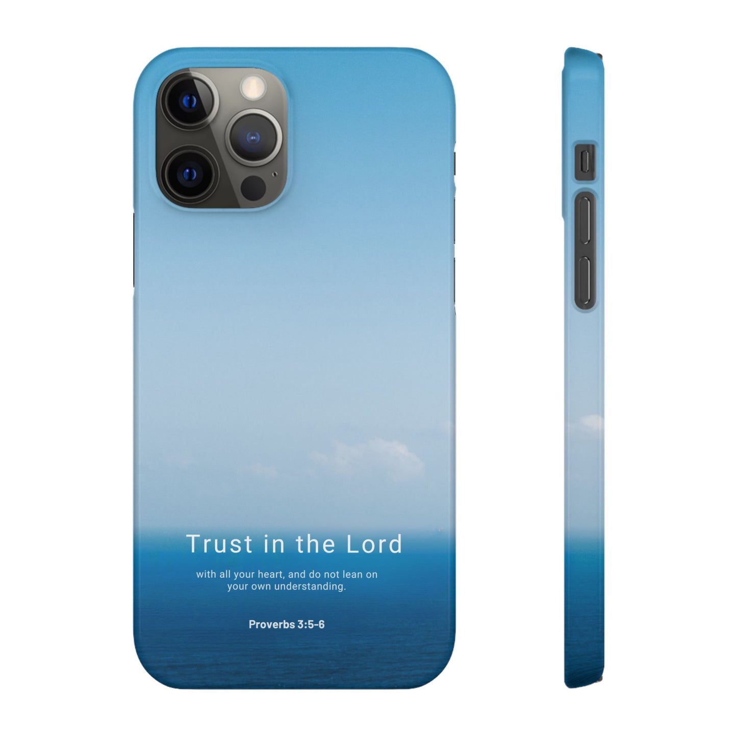 Trust in the Lord (Proverbs 3:5-6)